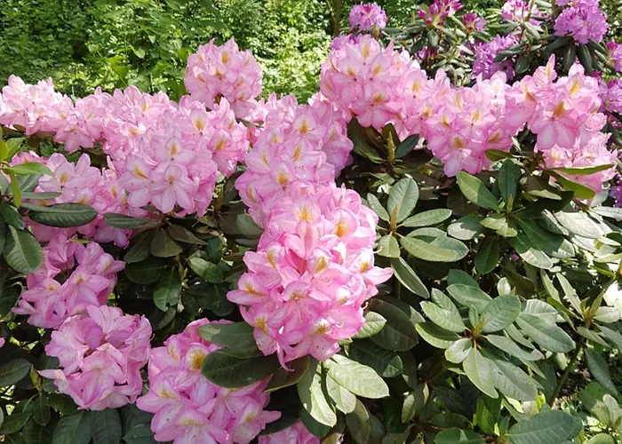 Domizil-auszeit Am Schlart Bad Zwischenahn